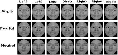 Trait Anxiety Impacts the Perceived Gaze Direction of Fearful But Not Angry Faces